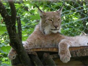 Der Zoo Hellbrunn...